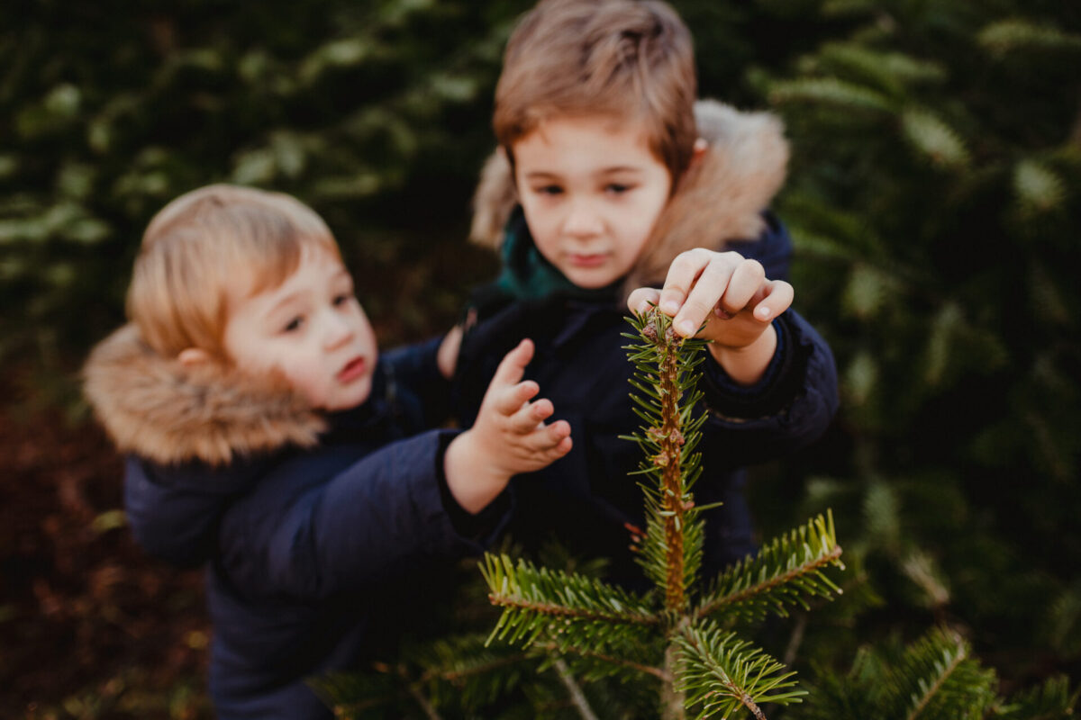 WEIHNACHTSBAUM SELBER SCHLAGEN FRANKFURT Julia Sidorenkova Fotografin