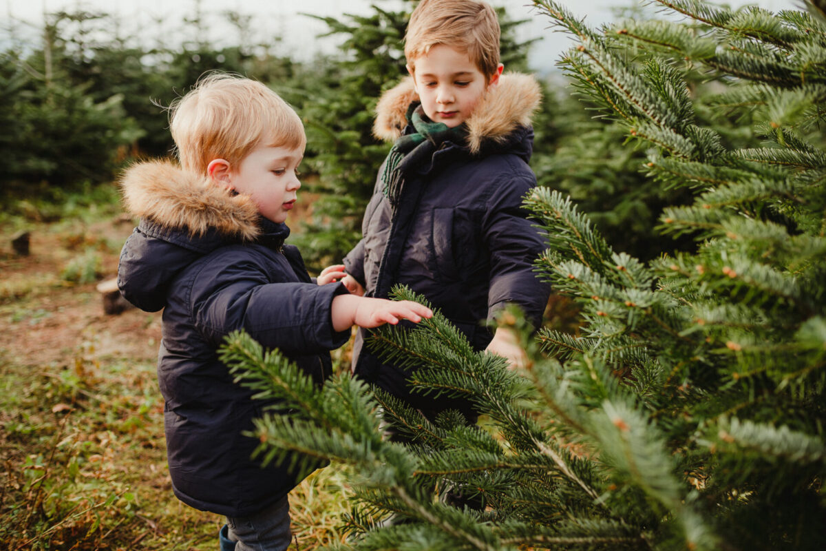 WEIHNACHTSBAUM SELBER SCHLAGEN FRANKFURT Julia Sidorenkova Fotografin